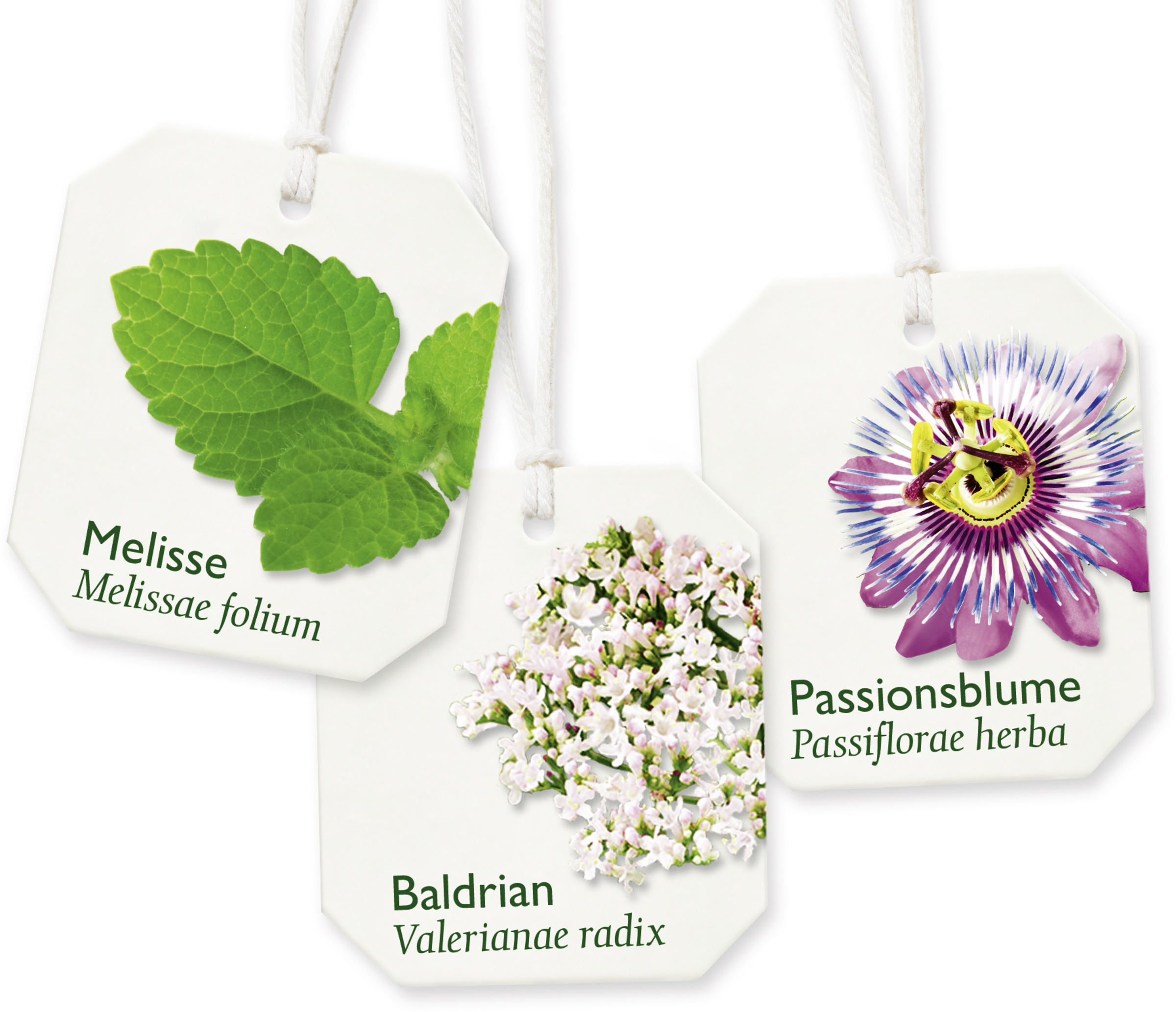 شاي النوم والأعصاب 3