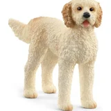 13939 Goldendoodle
