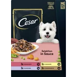 Cesar Selektion in Sauce Multipack
