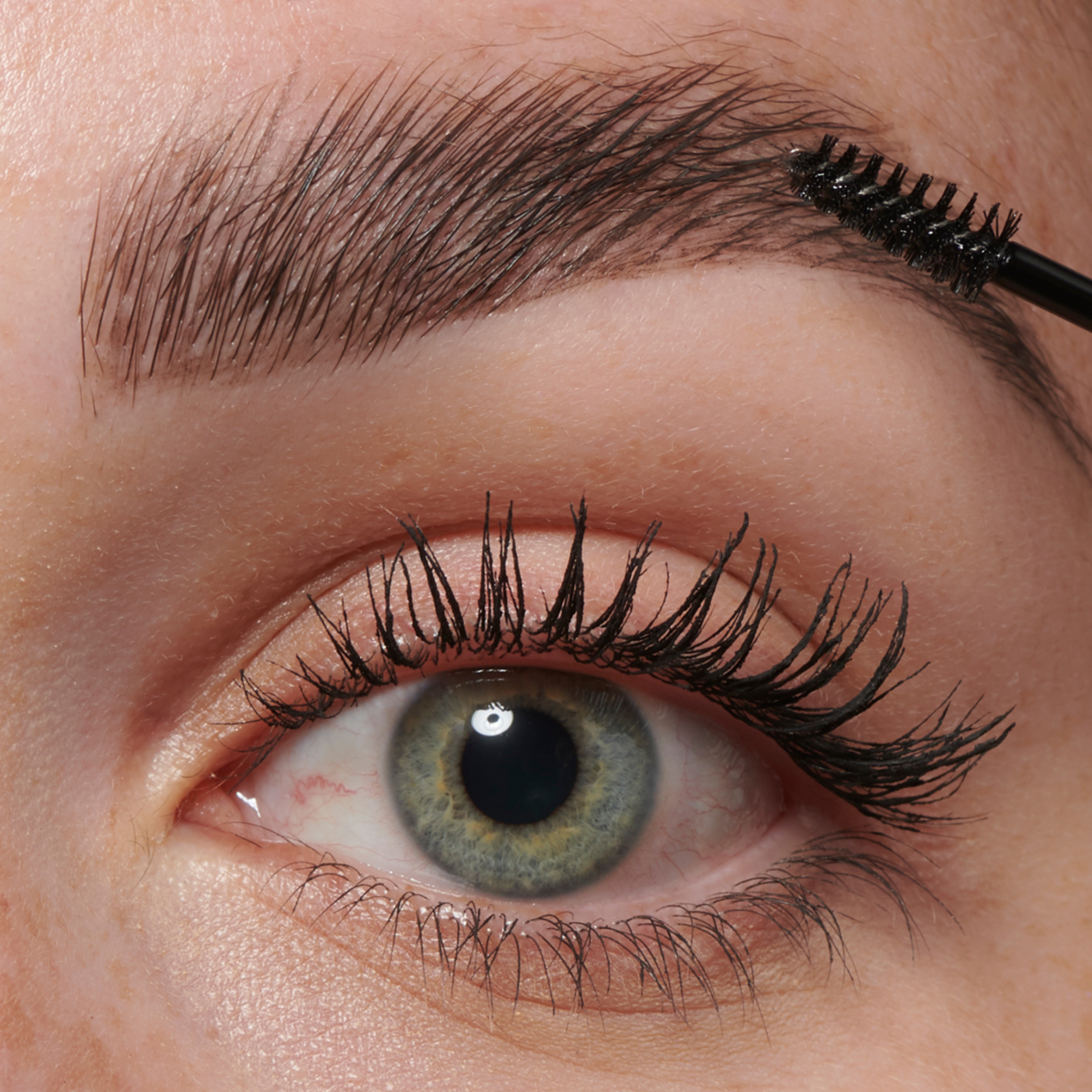 Revolution Makeup Revolution Laminate Brow Medium Brown online kaufen