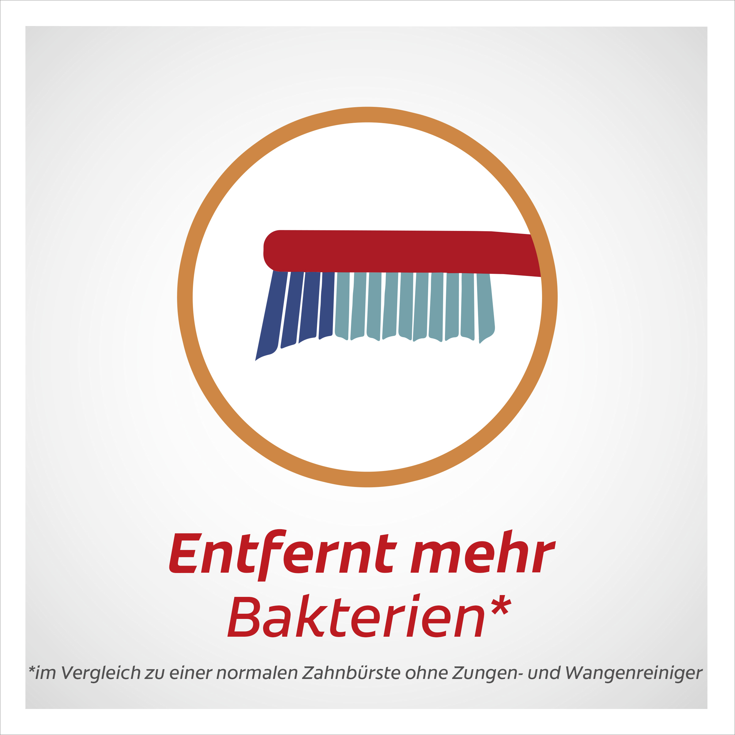 فرشاة أسنان إكسترا كلين متوسطة 8