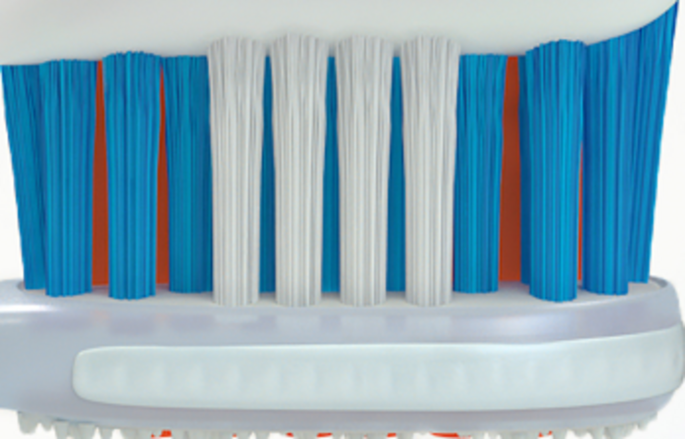 حماية اللثة بالزنك 3