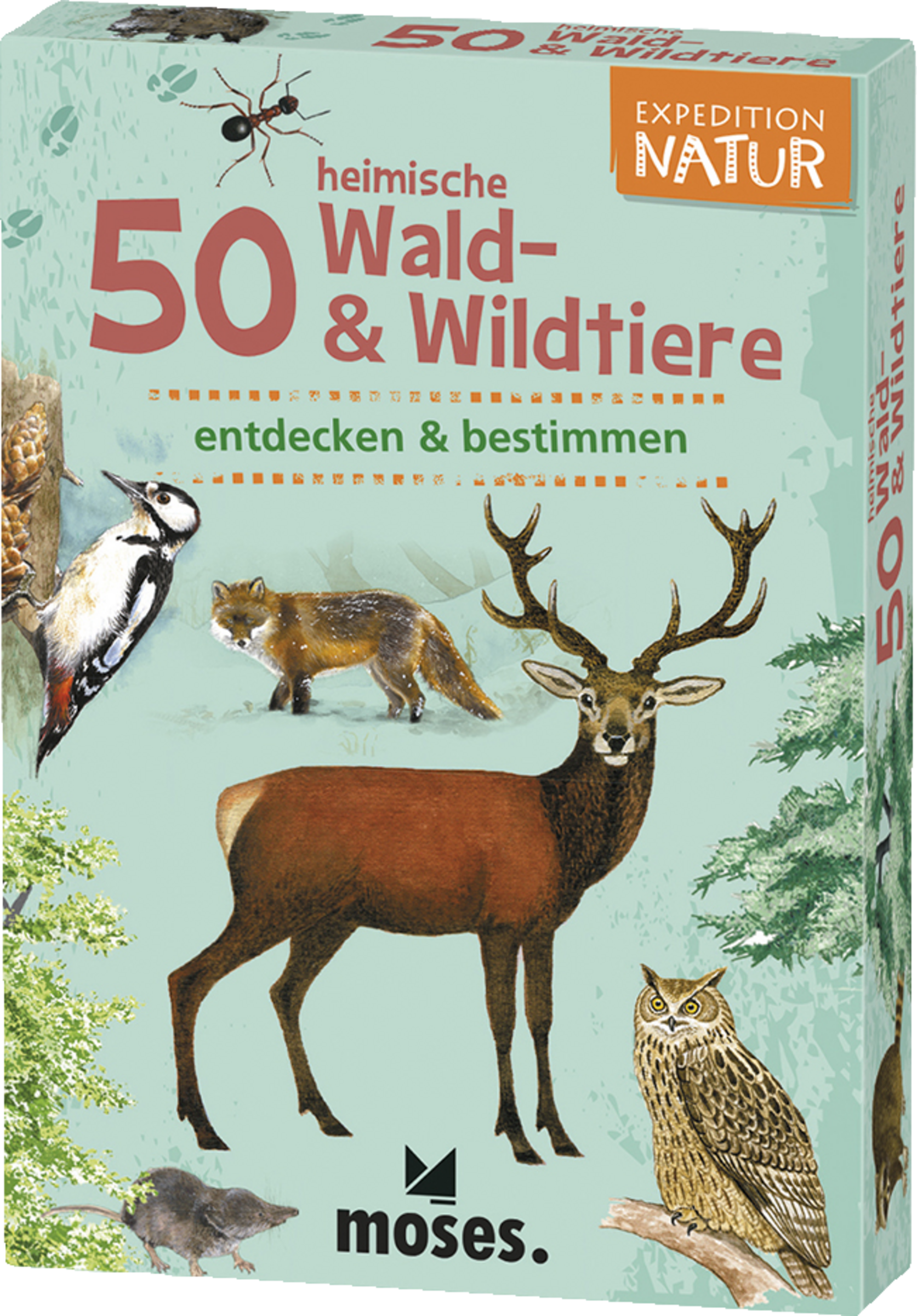 moses. Expedition Natur - 50 heimische Wald- & Wildtiere