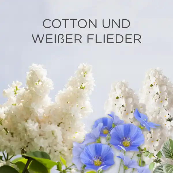 AirWick Lufterfrischer Duftstecker Cotton & Weißer Flieder