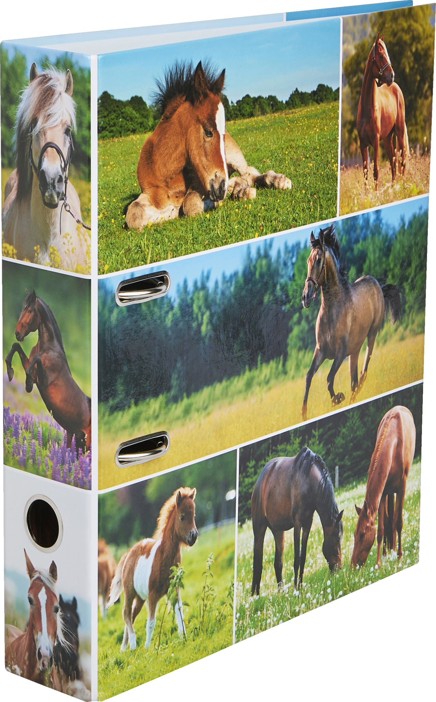 Motivordner Pferdewiese