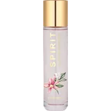 of black magnolia, EdP 30 ml