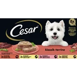 Klassik-Terrine Multipack