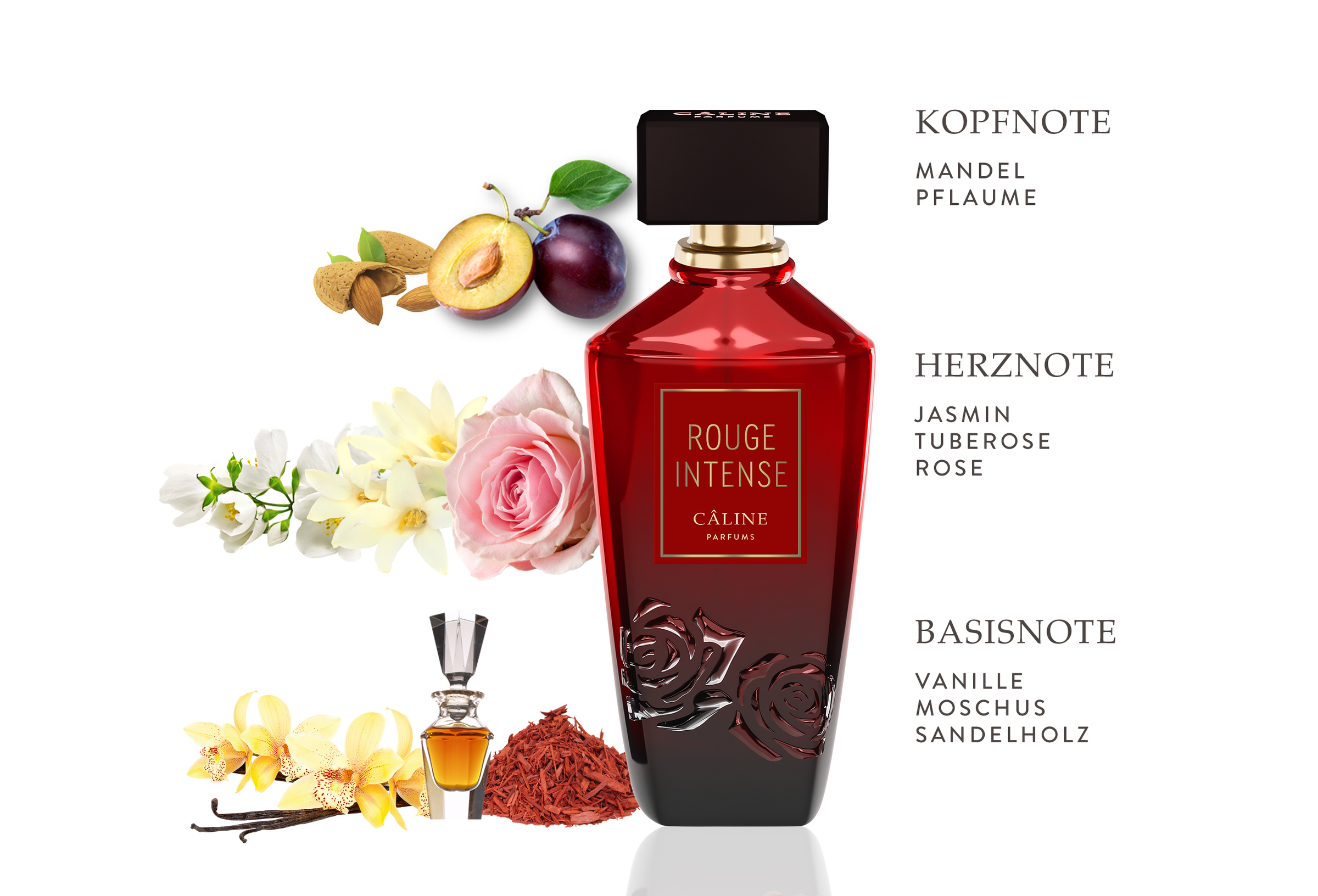 Câline Rouge Intense, EdP 60 ml online kaufen rossmann.de