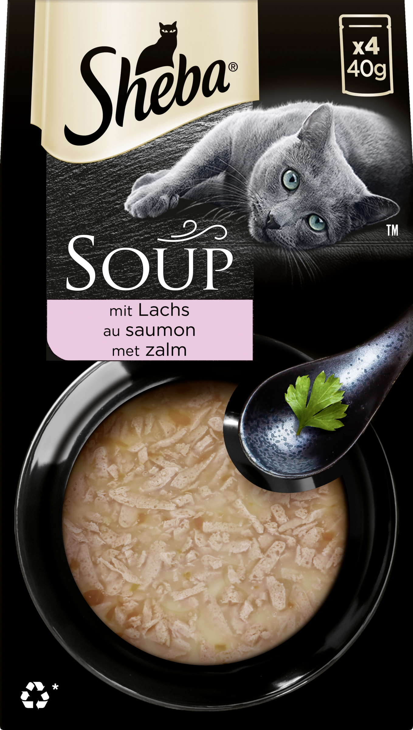 Soup mit Lachs Multipack