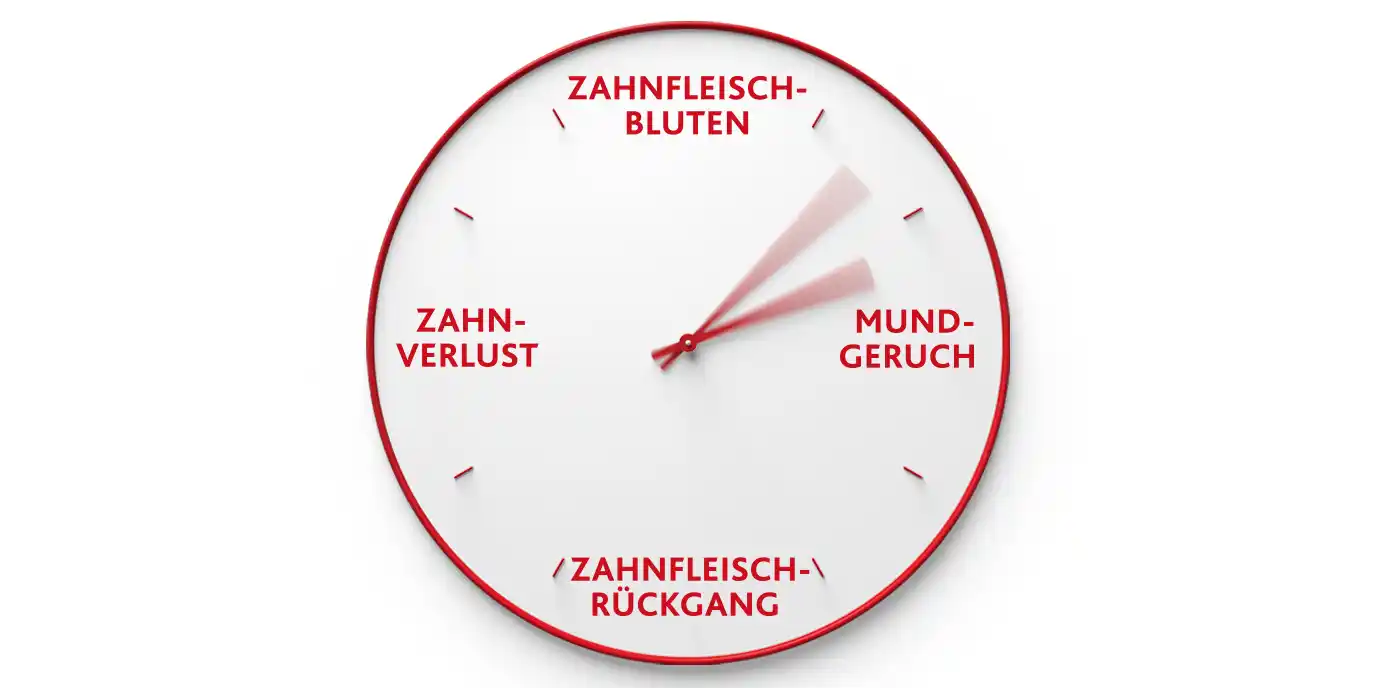 Zahnfleischerkrankungen