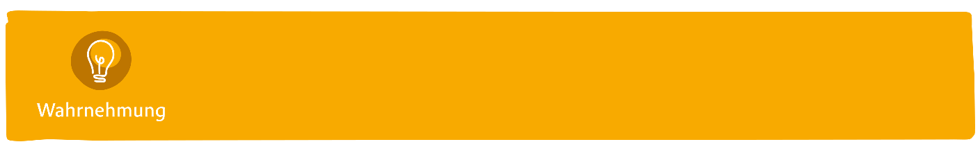 Miniju Spielwerte entdecken