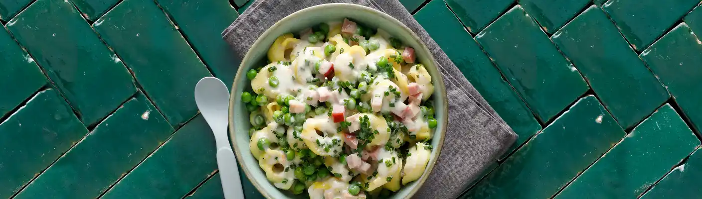 Tortellini mit Bechamel-Sauce