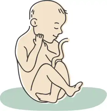 38. SSW: Infos & Tipps zur 38. Schwangerschaftswoche | rossmann.de