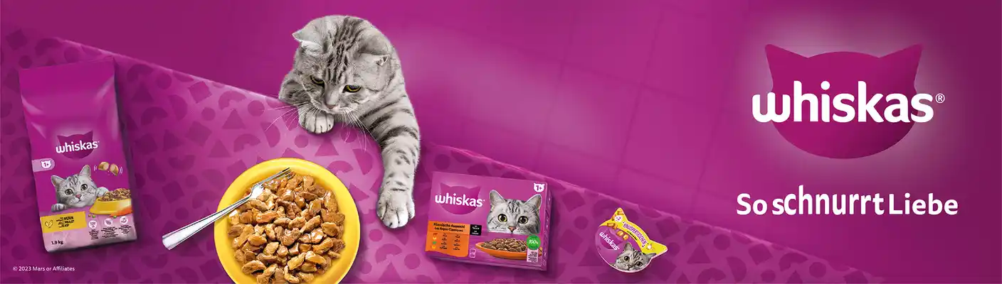 Whiskas-Katzenfutter online bestellen