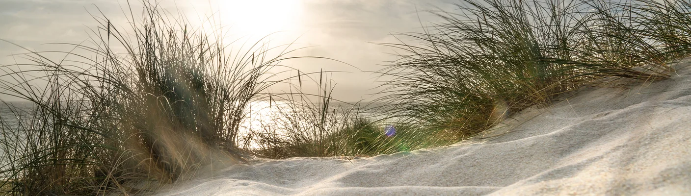 Nachhaltigkeit bei tetesept