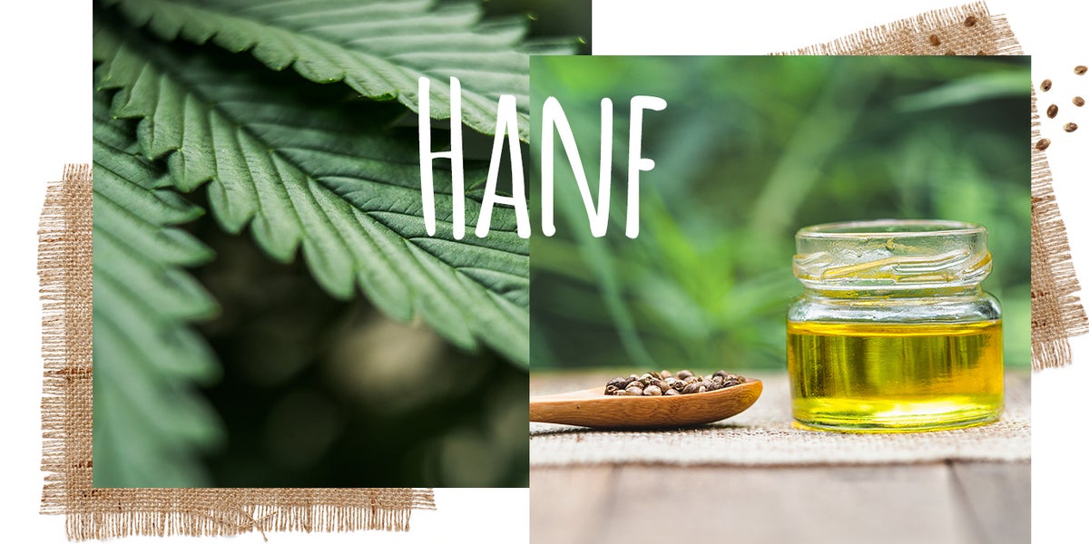 Hanf als Inhaltsstoff: Alles über die vielfältige Kulturpflanze | rossmann.de