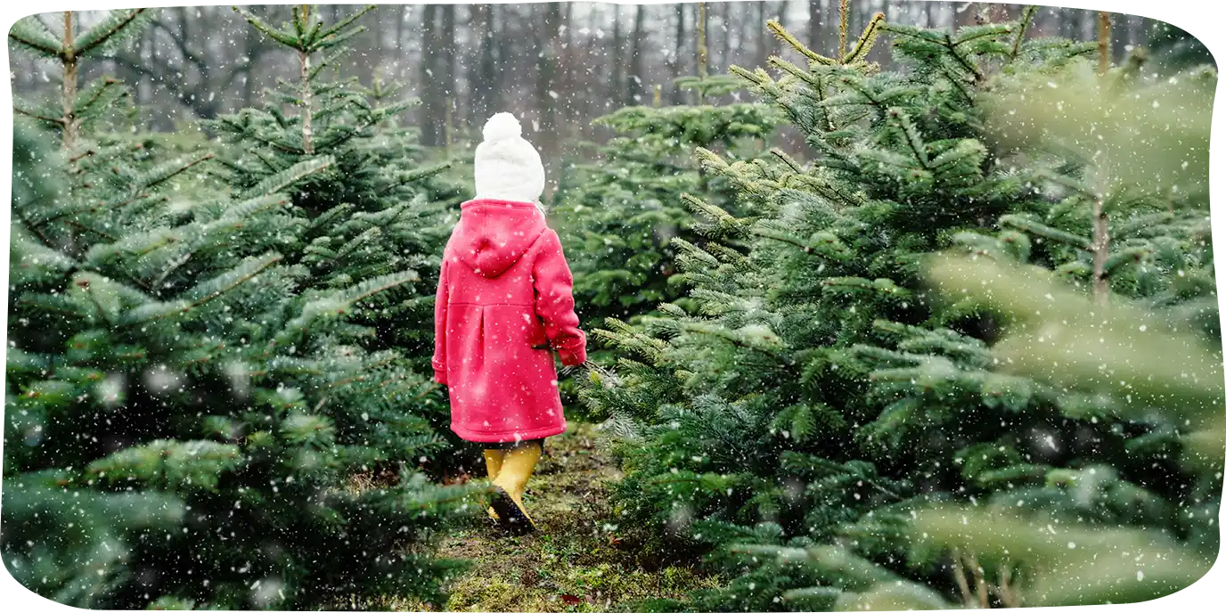 Weihnachtsbaum