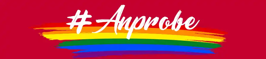 Anprobe