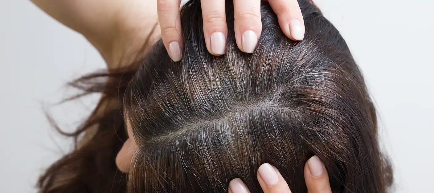 Dunkles Haar mit grauen Ansätzen