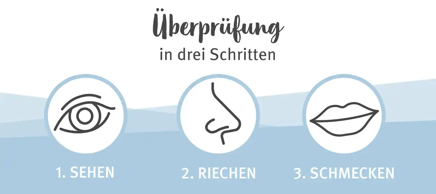 Überprüfung MHD